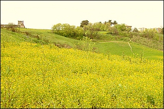 Anteprima - Clicca per ingrandire